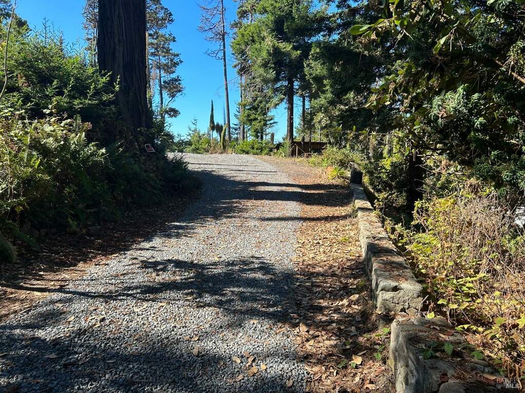 46925 Pacific Woods Road, Gualala, CA 95445 MLS 323919948 Christie