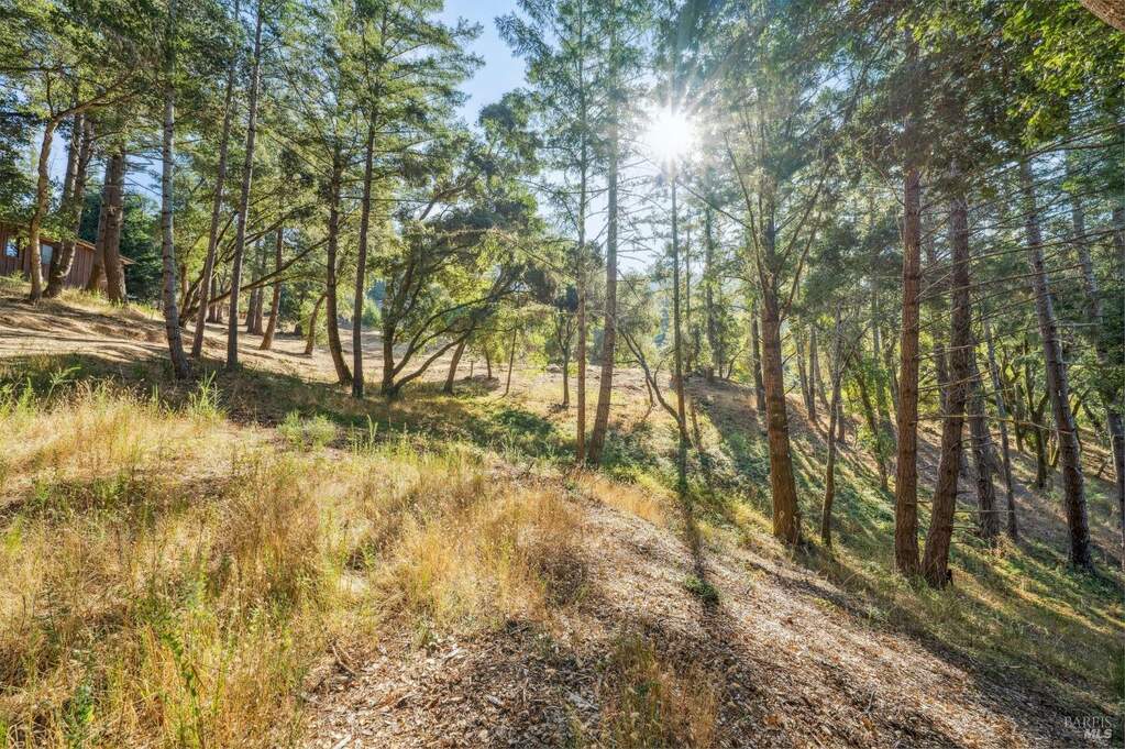 5 Chaparral Lane, San Geronimo, CA 94963