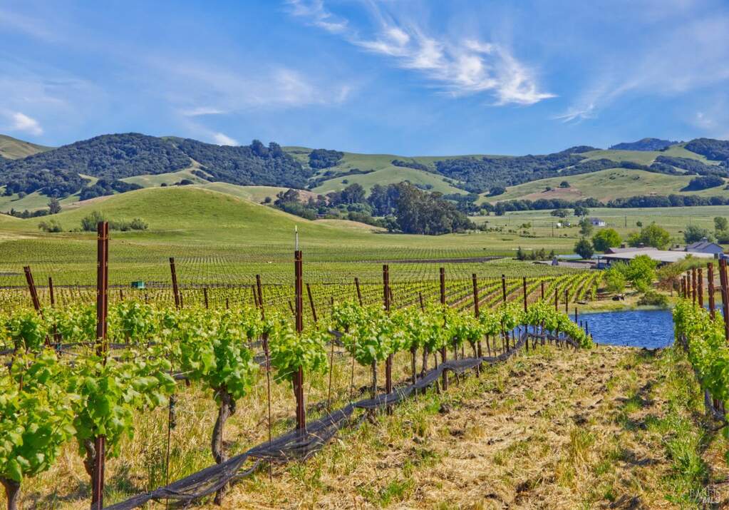 2590 Chileno Valley Road, Petaluma, CA 94952