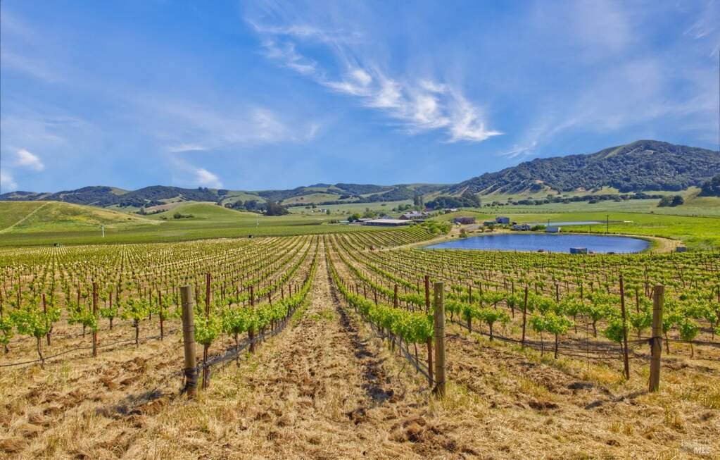 2590 Chileno Valley Road, Petaluma, CA 94952