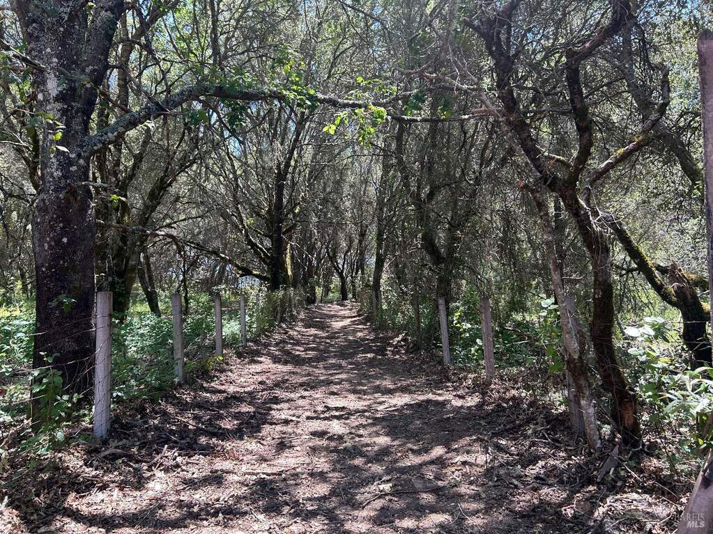 7369 Covey Road, Forestville, CA 95436