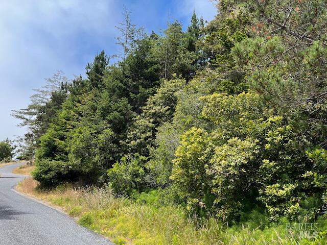 22091 Lee Drive, Timber Cove, CA 95450