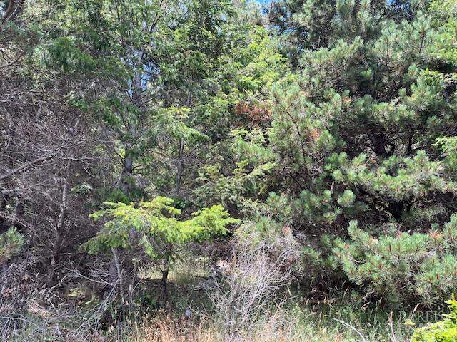 22091 Lee Drive, Timber Cove, CA 95450