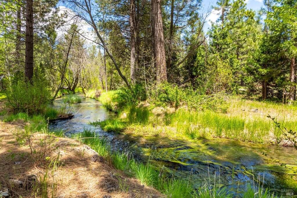 Hat Creek Yr Round Tributary at 12637 Ivie Lane, Old Station, CA 96071