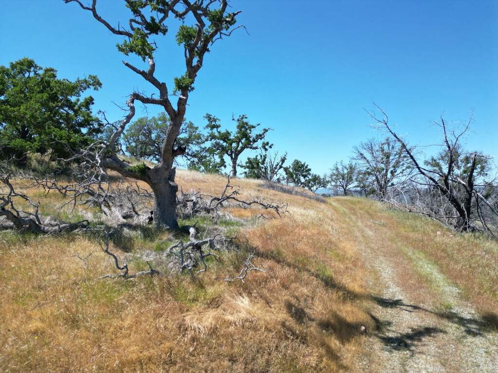0 Pope Canyon Road, Pope Valley, CA 94567