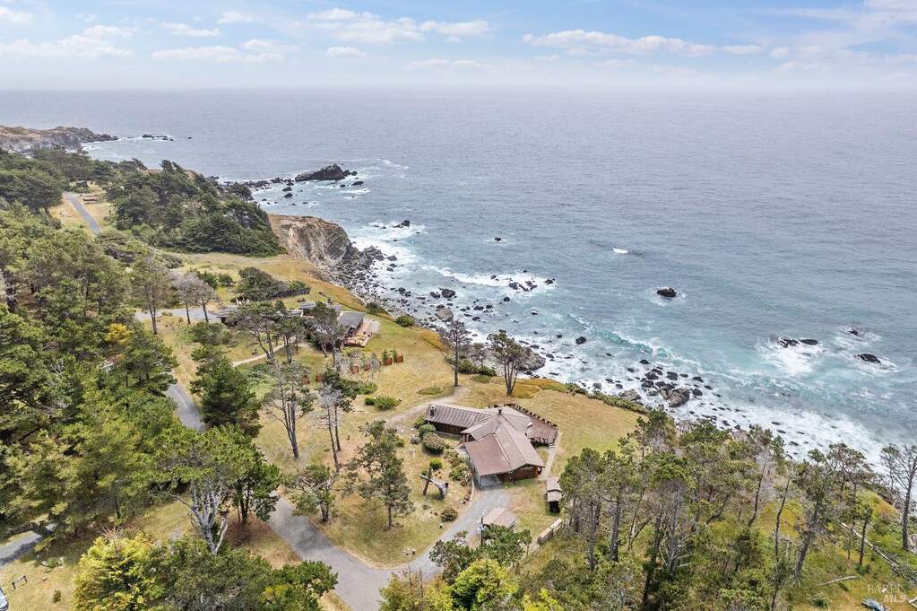 Front-line Ocean front setting at 22100 Ninive Drive, Jenner, CA 95450