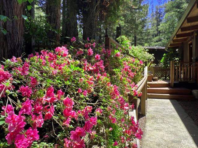 Front Entrance Walkway! at 544 Cascade Drive, Mill Valley, CA 94941
