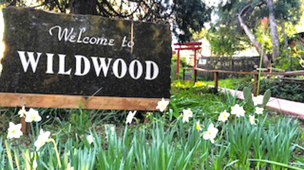 20111 Old Cazadero Road, Guerneville, CA 95446