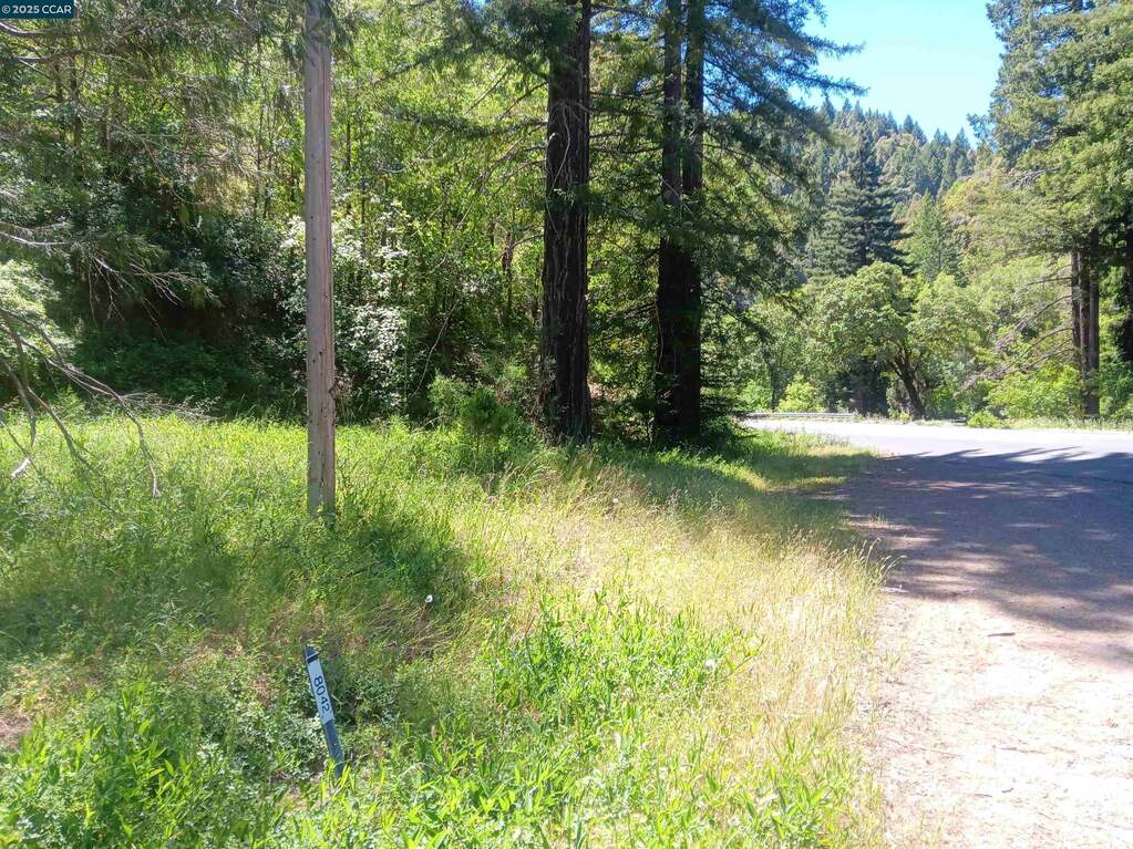56025 Highway 101, Laytonville, CA 95454