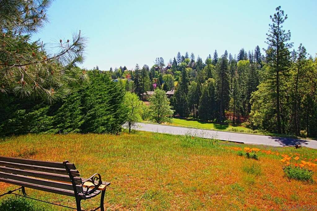 501 Forest Meadows Dr, Murphys, CA 95247