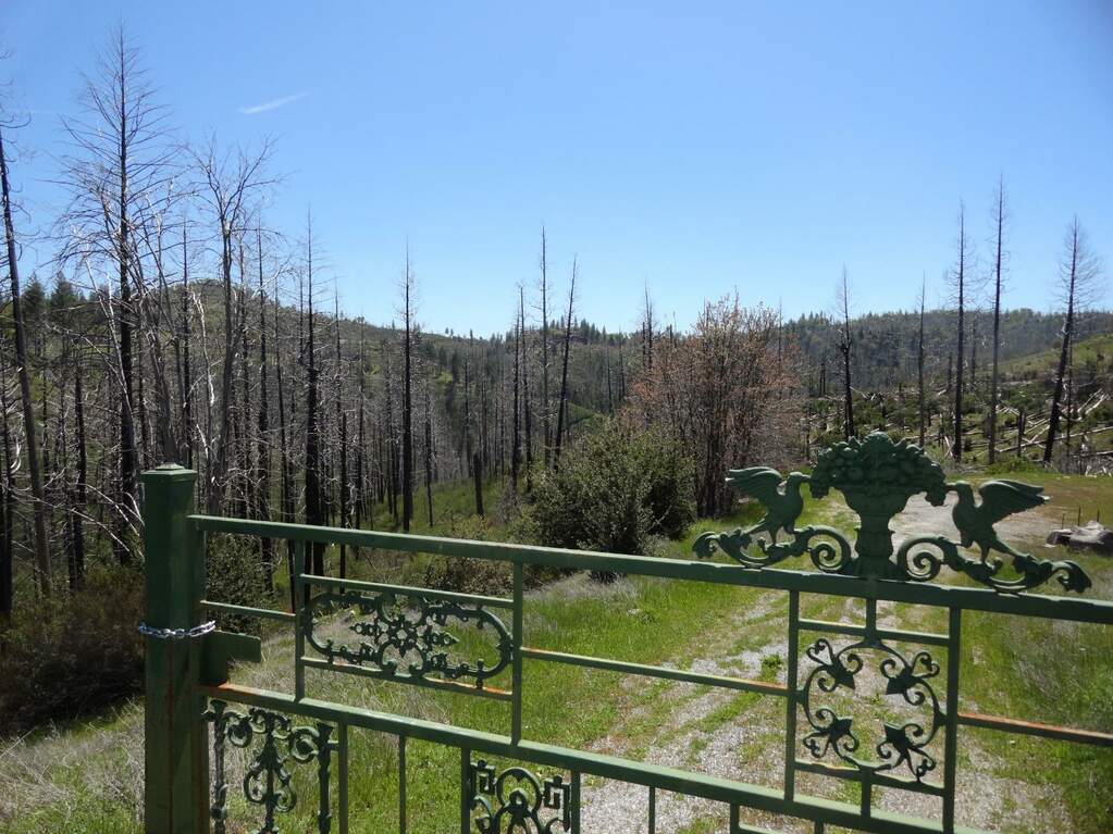 7038 Old Emigrant Trail W., Mountain Ranch, CA 95246