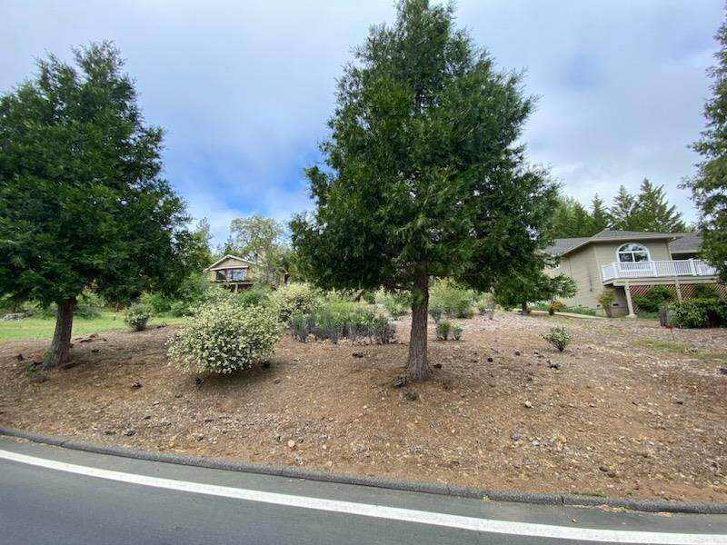 630 Forest Meadows, Murphys, CA 95247 MLS 202400189 Christie's