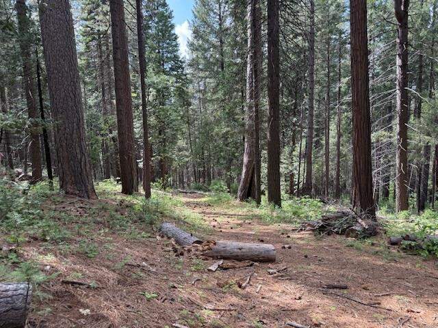 3129 Crystal Way, Arnold, CA 95223