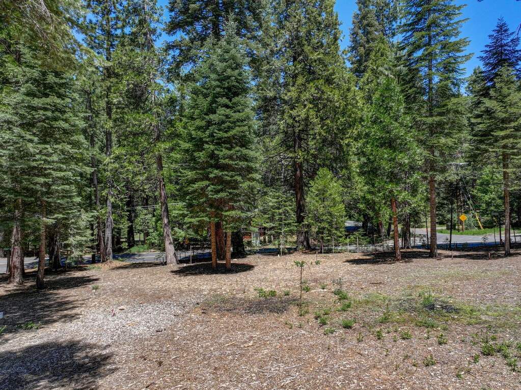 3380 El Camino Boot Strap, Dorrington, CA 95223