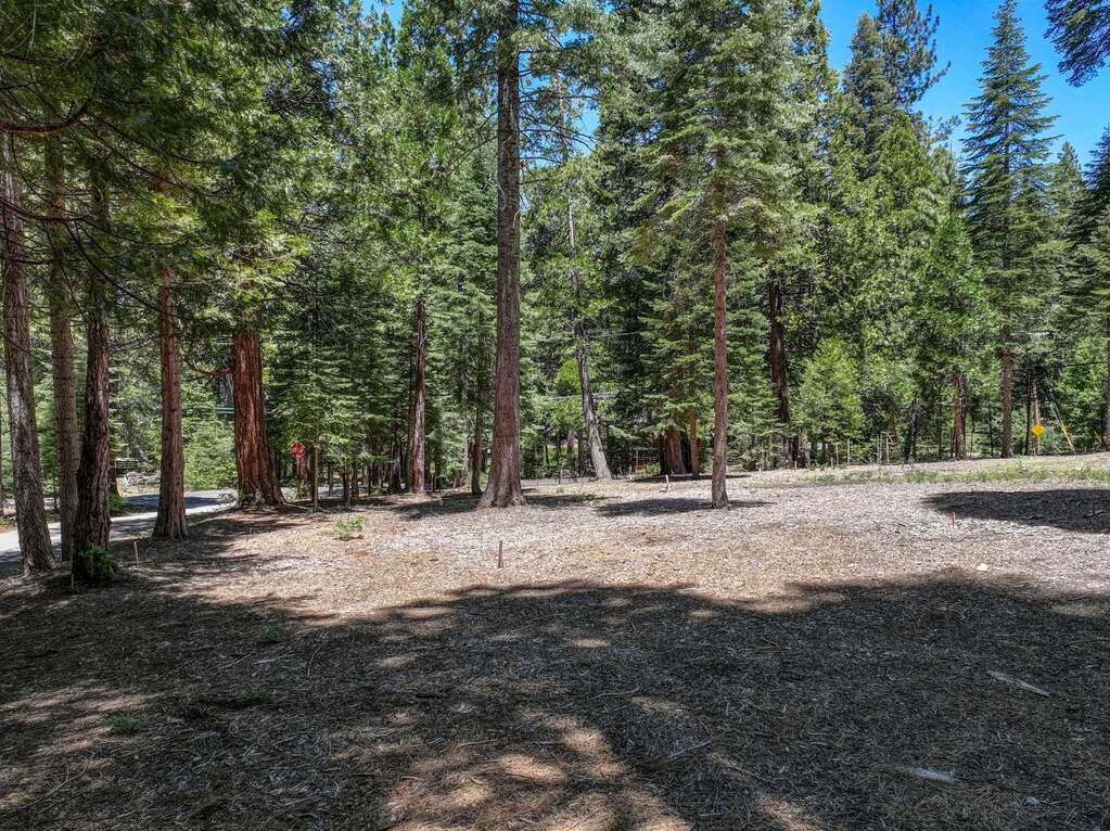3380 El Camino Boot Strap, Dorrington, CA 95223