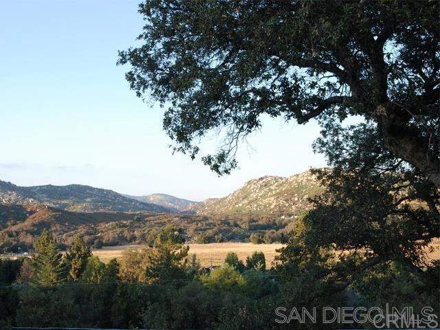 9502 Elm Drive, Descanso, CA 91916
