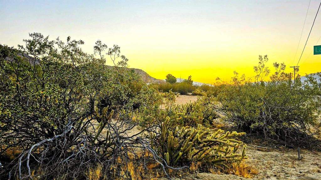  Last Chance Trl, Julian, CA 92036
