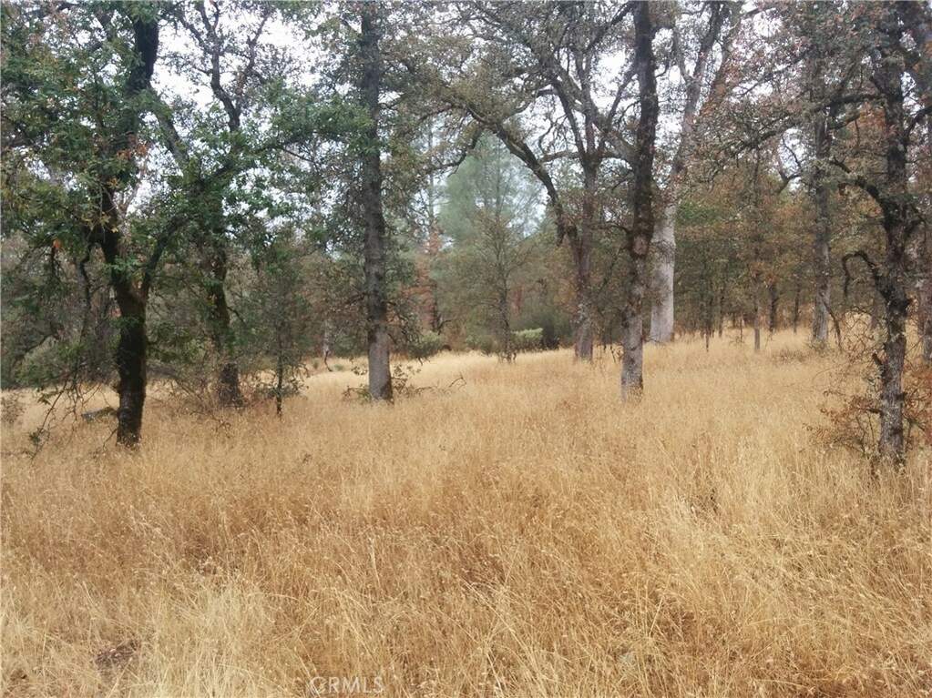 0 Donkey Mine Road, Oak Run, CA 96069