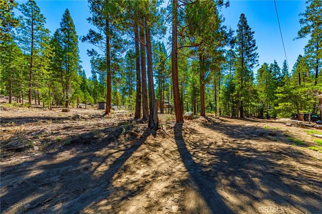 0 River Street, Wawona, CA 95389