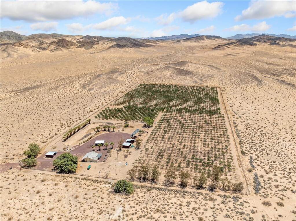 49333 Riverside Road, Newberry Springs, CA 92365