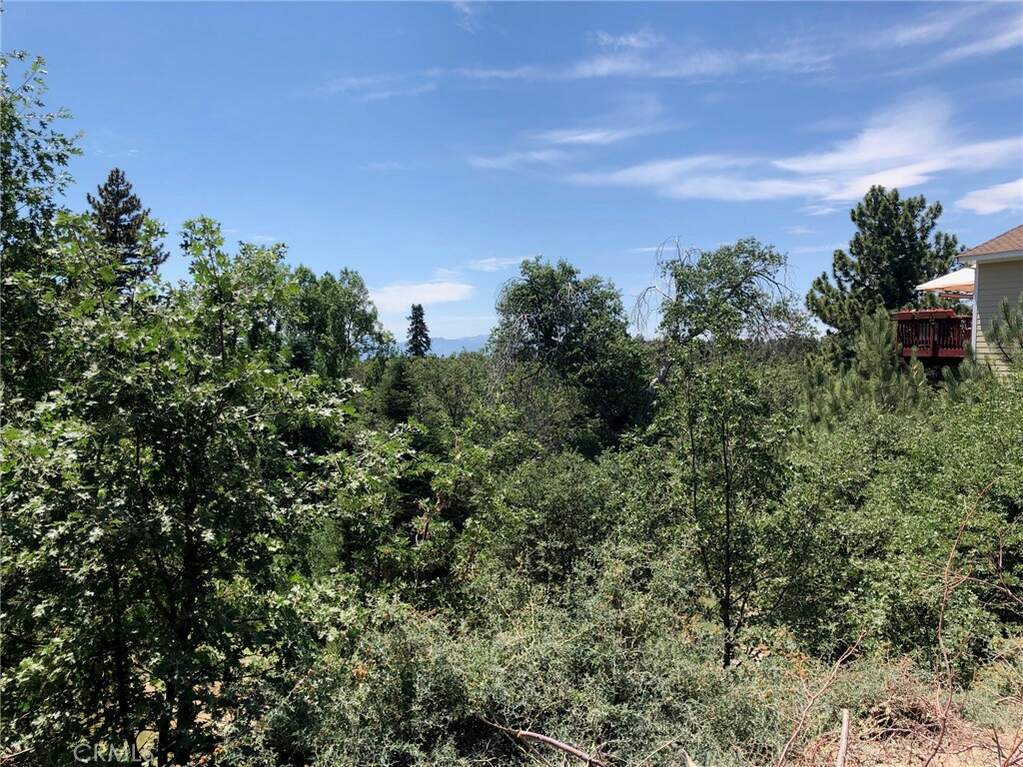 33658 Angeles Drive, Green Valley Lake, CA 92341 MLS IV23144657