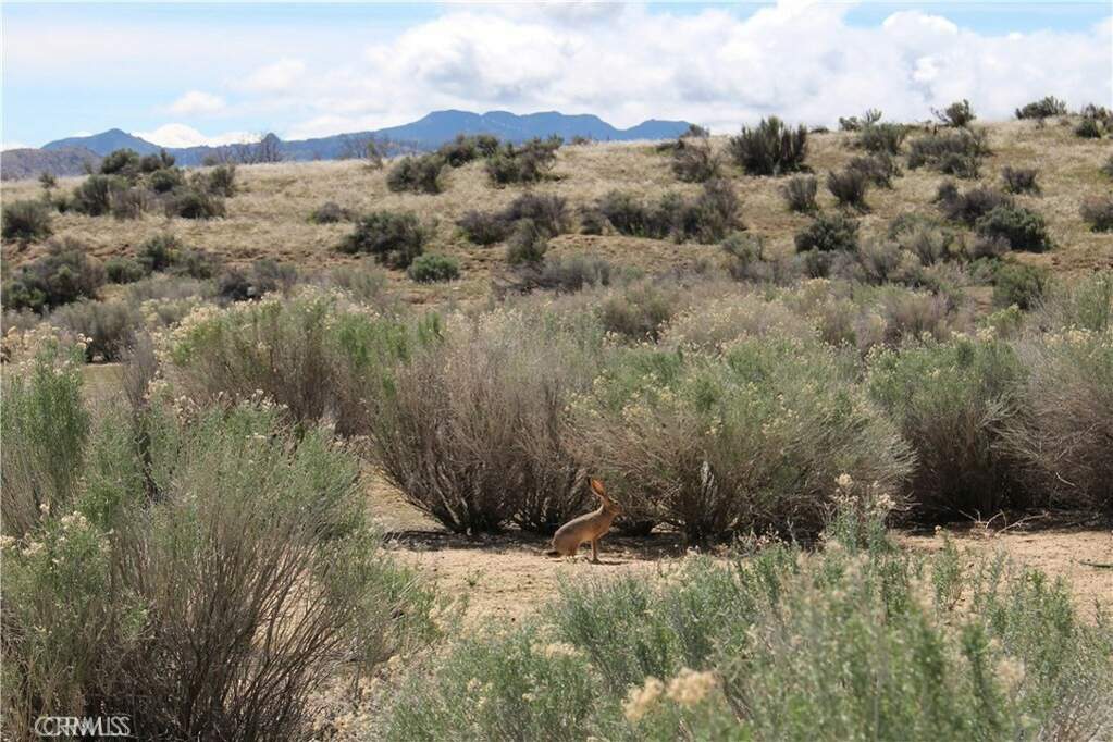 1790 S Kelso Road, Weldon, CA 93283
