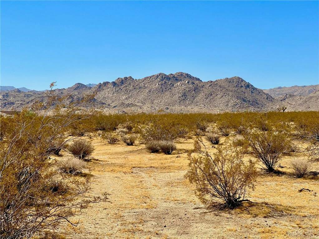 0 Dennis Ave, Joshua Tree, CA 92252