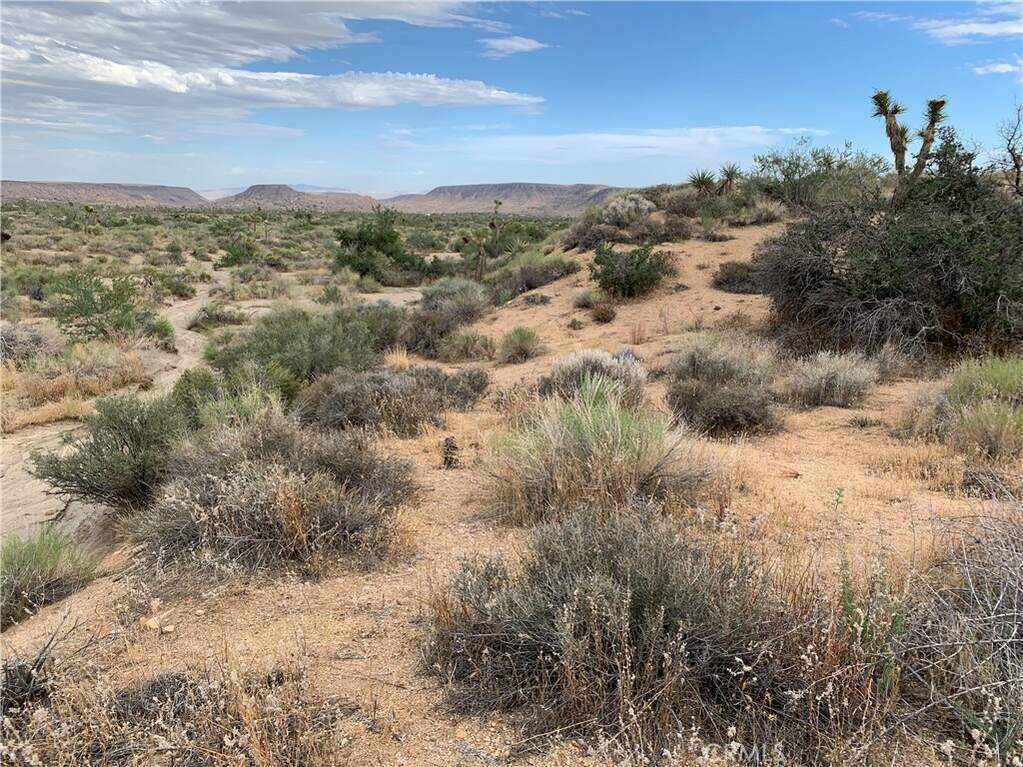 200 Gods Way Love Road W, Pioneertown, CA 92268 MLS JT23219976