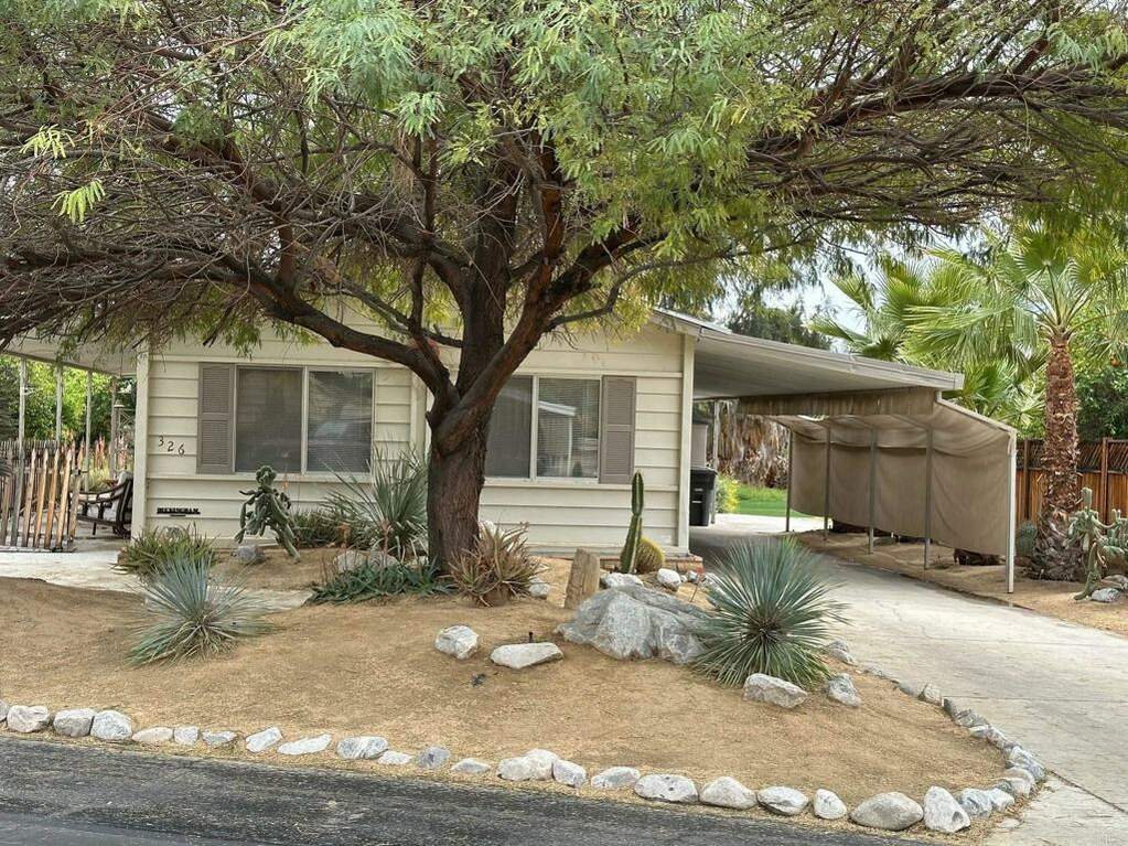 1010 Palm Canyon Dr #326