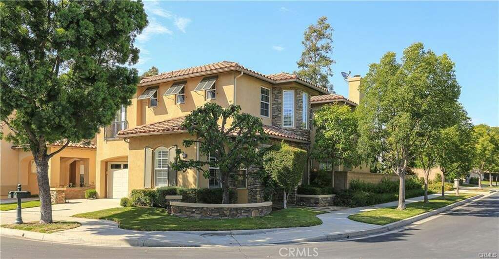 19 Carpenteria