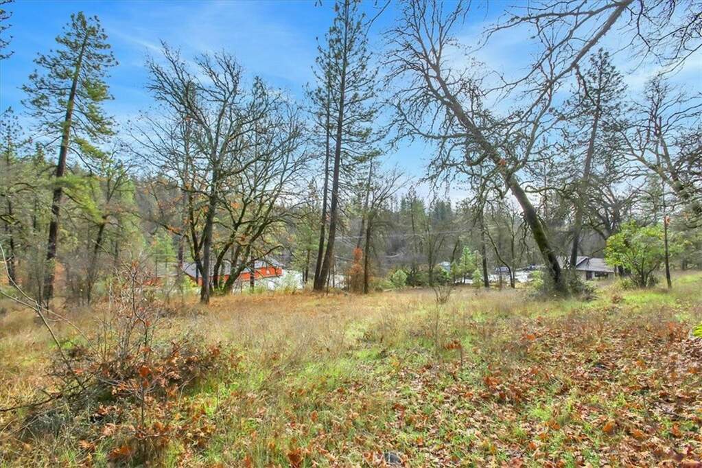 10061 Alta Sierra Drive, Grass Valley, CA 95949 MLS OR24026039