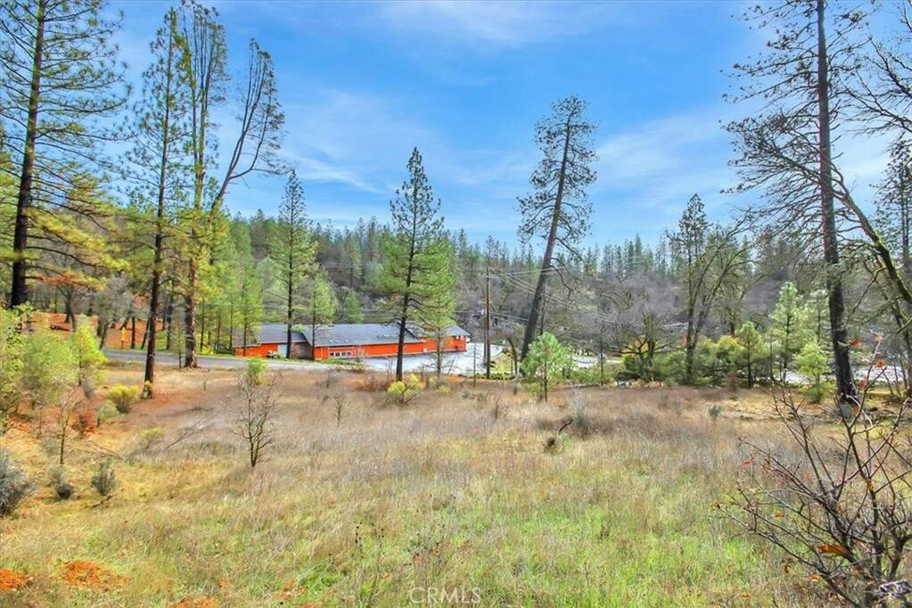 10061 Alta Sierra Drive, Grass Valley, CA 95949 MLS OR24026039