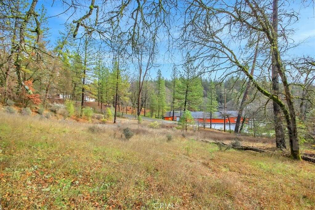 10061 Alta Sierra Drive, Grass Valley, CA 95949 MLS OR24026039