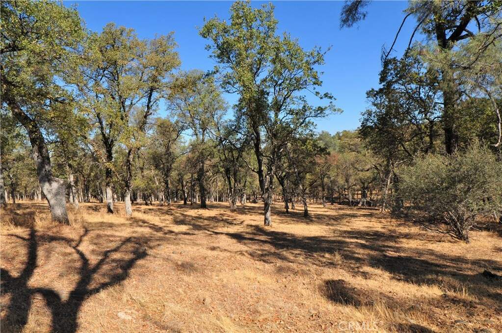 0 Orange Ave, Bangor, CA 95966
