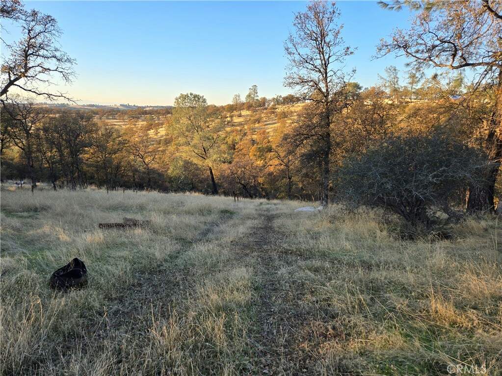 0 Avacado Road, Oroville, CA 95966