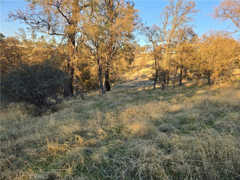 0 Avacado Road, Oroville, CA 95966