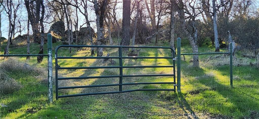 0 Sunny Hills Road, Bangor, CA 95901