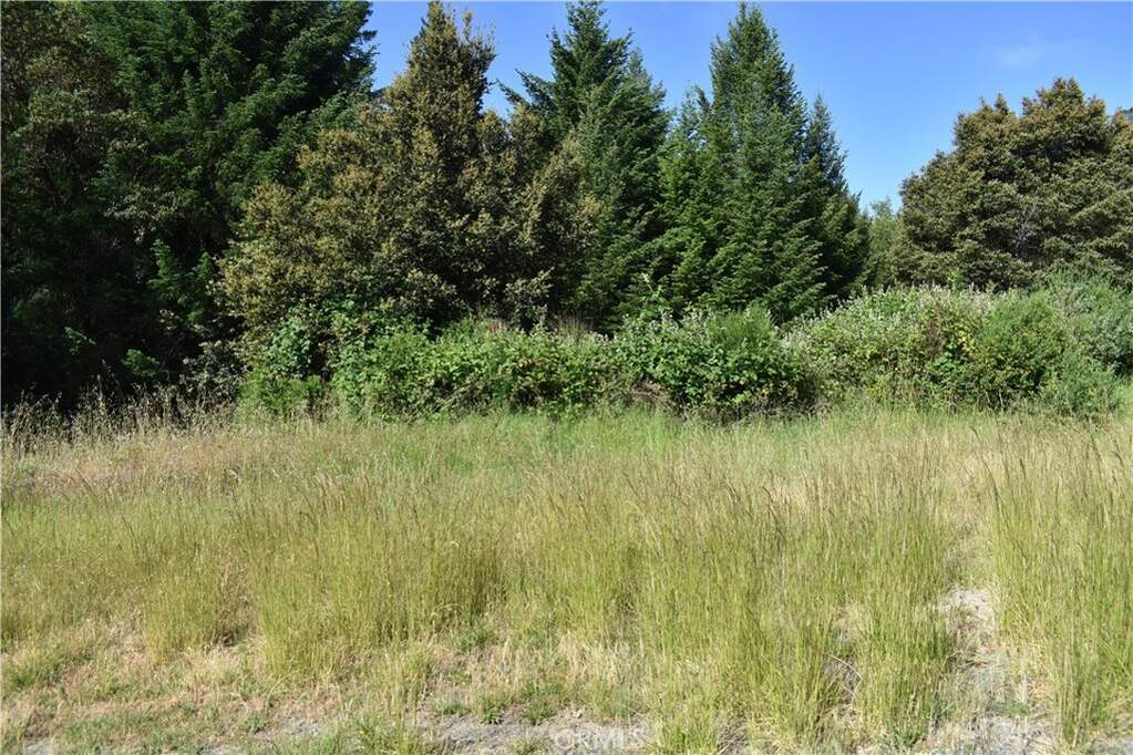 0 Briceland Road, , CA 95589