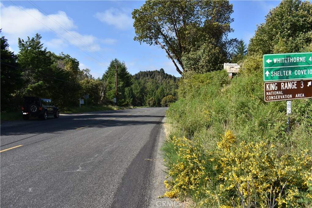 0 Briceland Road, , CA 95589