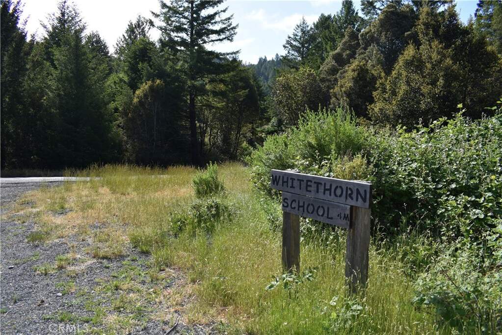 0 Briceland Road, , CA 95589