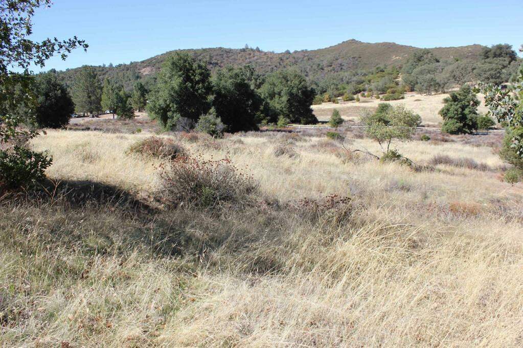 13 .55 Acres Boulder Creek Rd, Julian, CA 92036