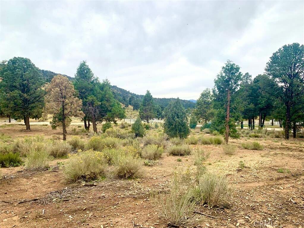 0 Minnow Lane, Baldwin Lake, CA 92314 MLS SB23184407 Christie's