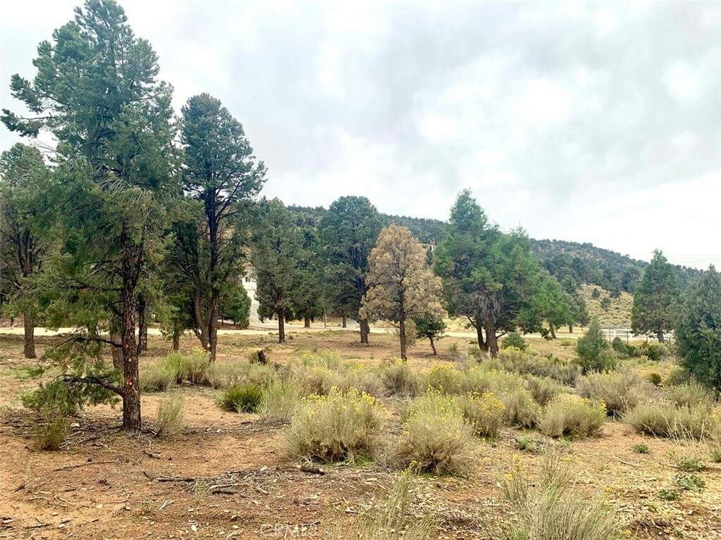 0 Minnow Lane, Baldwin Lake, CA 92314 MLS SB23184407 Christie's