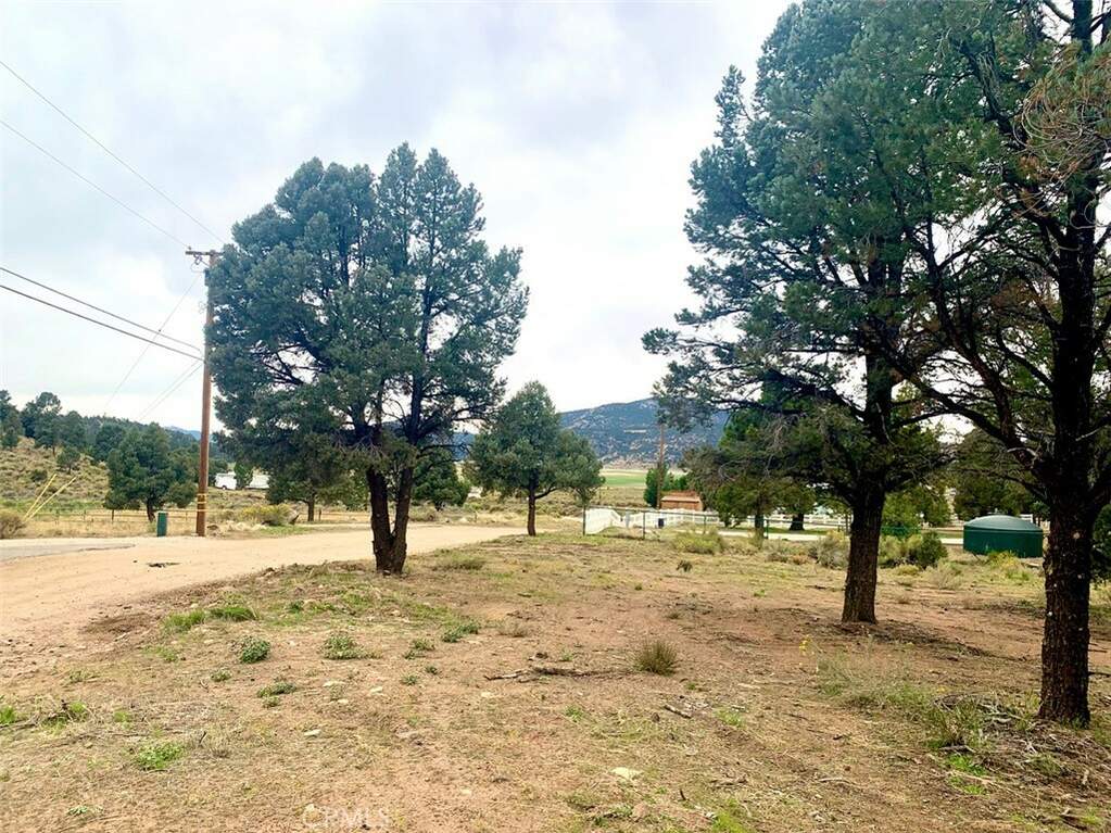 0 Minnow Lane, Baldwin Lake, CA 92314 MLS SB23184407 Christie's International Real Estate