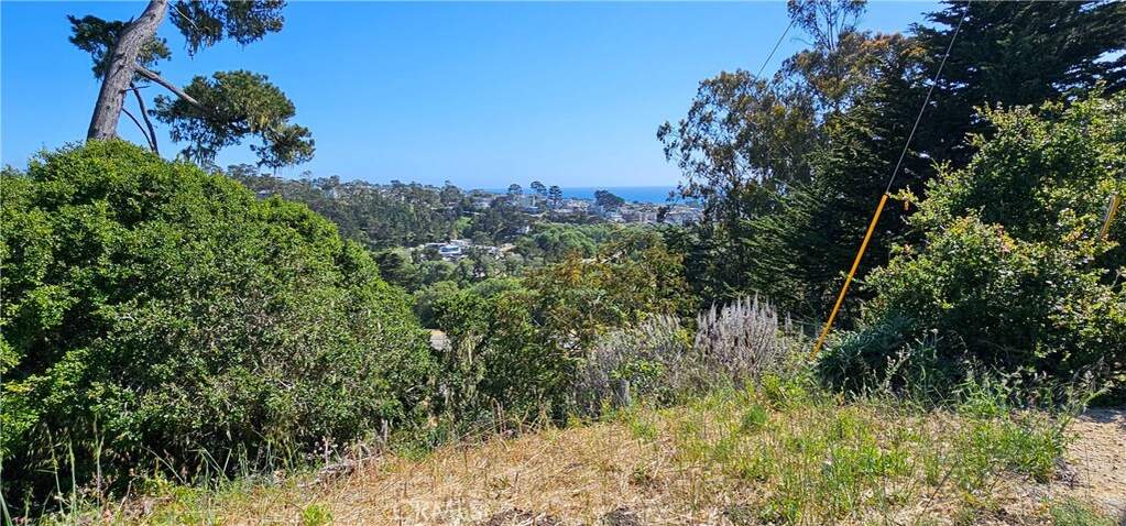 0 Croyden Lane, Cambria, CA 93428