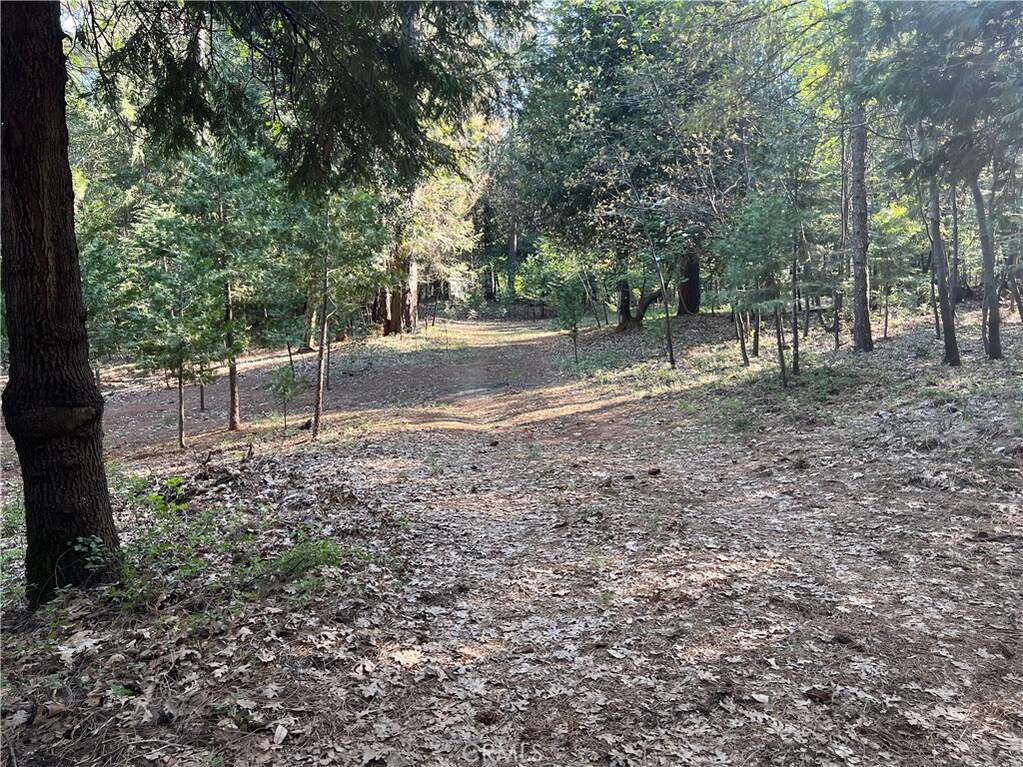 0 Headwaters Road, Forest Ranch, CA 95942