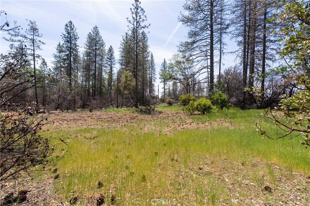 0 Toll Gate Way, Forest Ranch, CA 95942