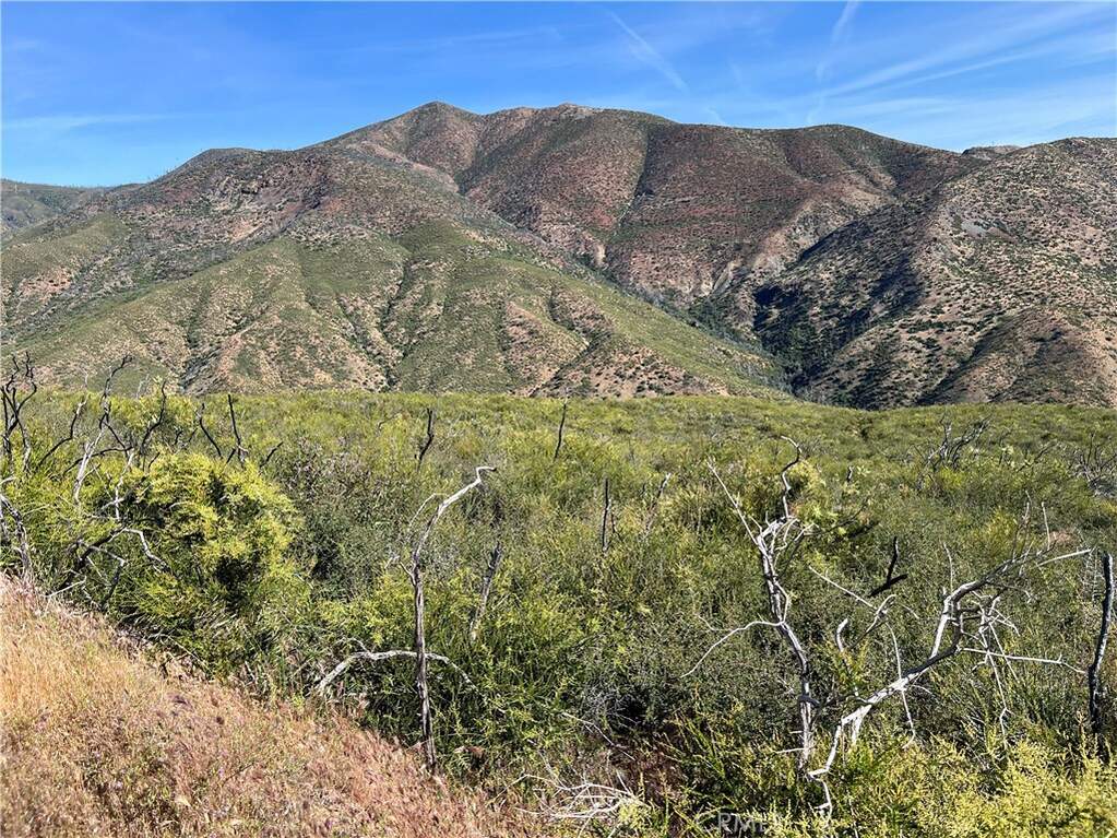 0 County Road 313, Elk Creek, CA 95963
