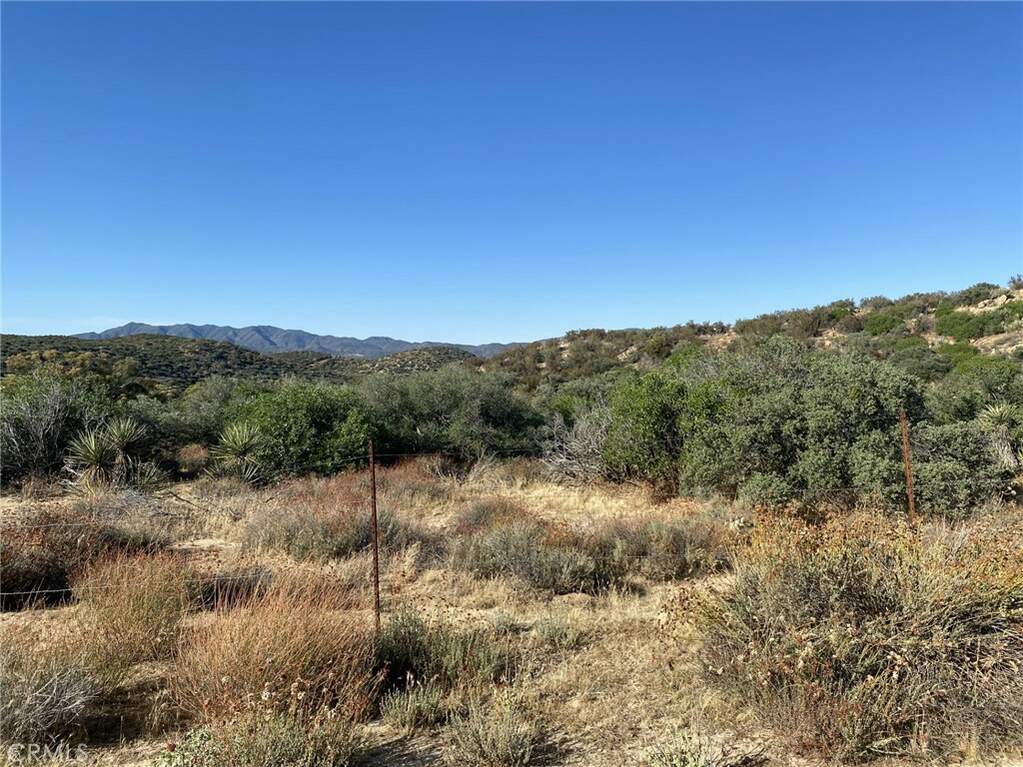 42617 Wild Horse Trail, Anza, CA 92539 MLS SW23175395 Christie's