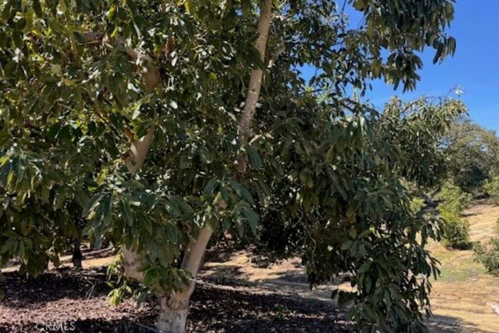0 Monte Rancho, Temecula, CA 92590